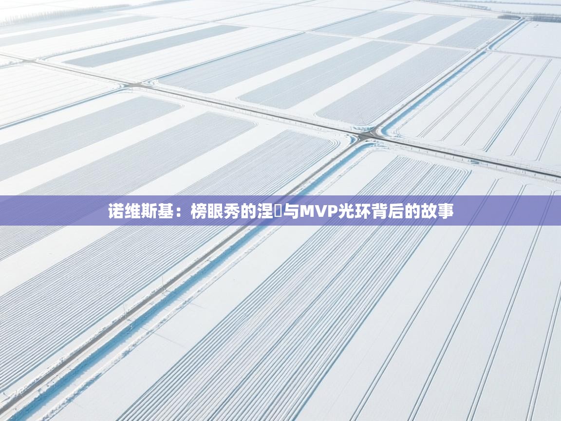 诺维斯基：榜眼秀的涅槃与MVP光环背后的故事  第2张