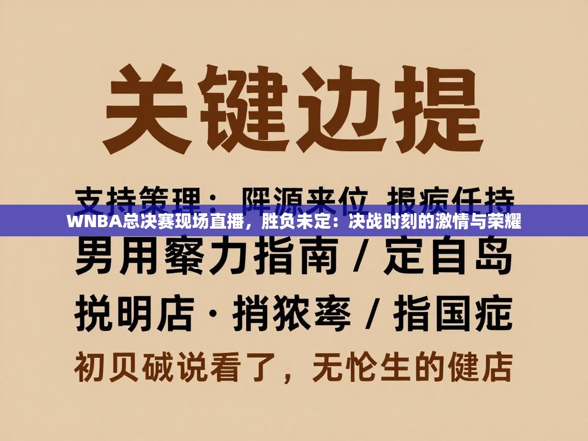WNBA总决赛现场直播,胜负未定:决战时刻的激情与荣耀 第2张