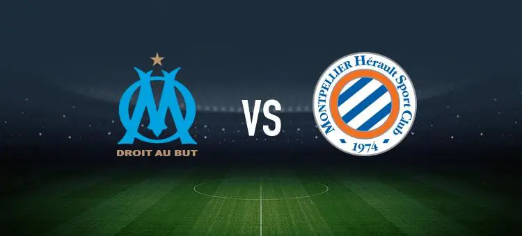 爱游戏体育平台-包含蒙彼利埃主场大胜，争夺晋级积极的词条