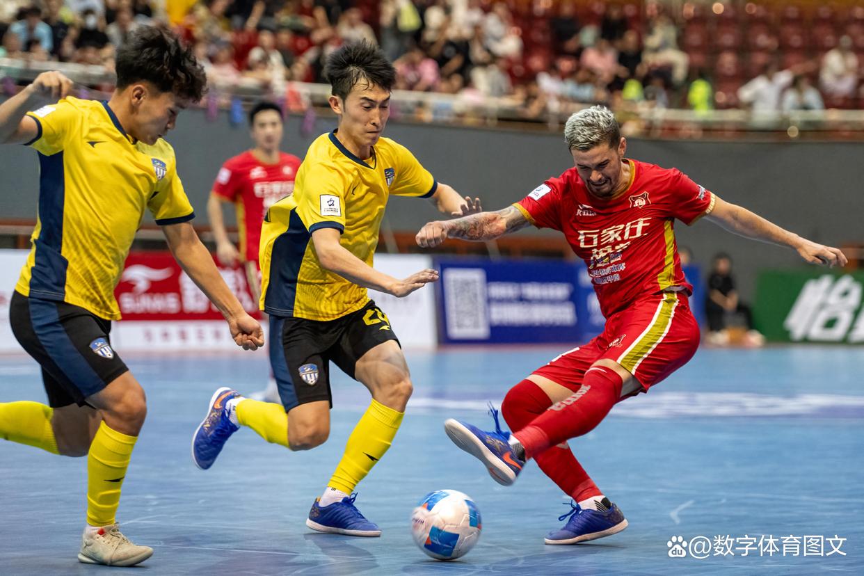 石家庄主场失利,球队受尽打击 石家庄主场失利,球队受尽打击