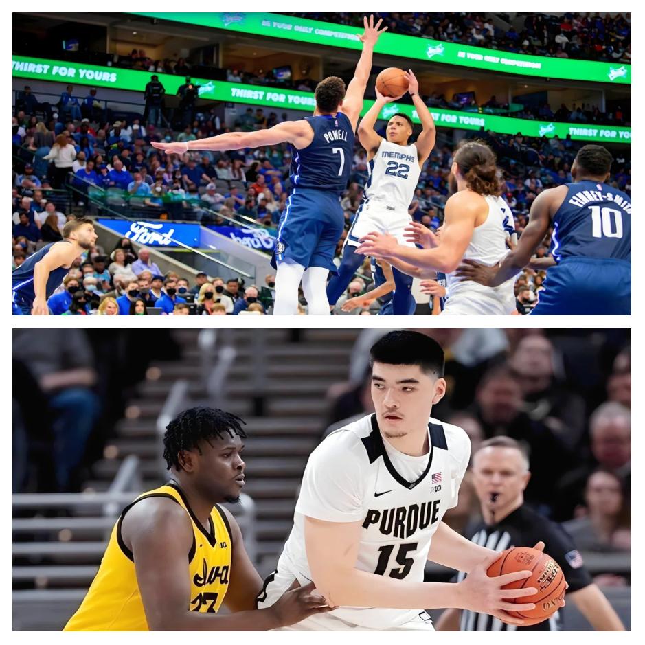 灰熊签下自由球员,增强内线阵容 灰熊签下自由球员,增强内线阵容